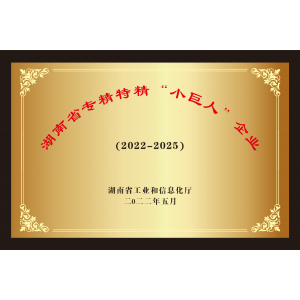 湖北湖南省专精特精“小巨人”企业